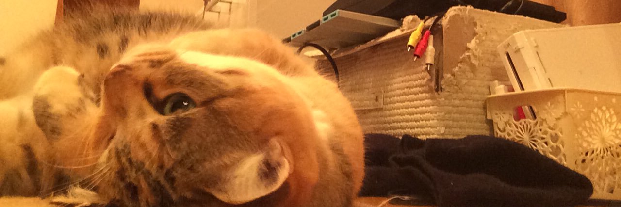 m_m_cat_'s profile banner image