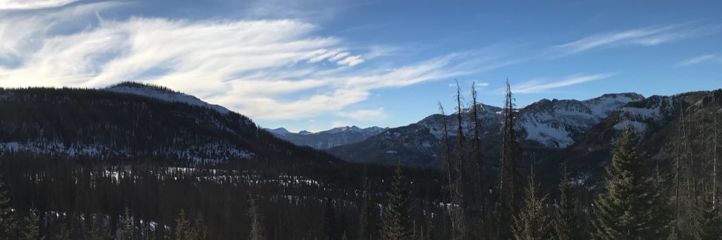 tbyrdette's profile banner image