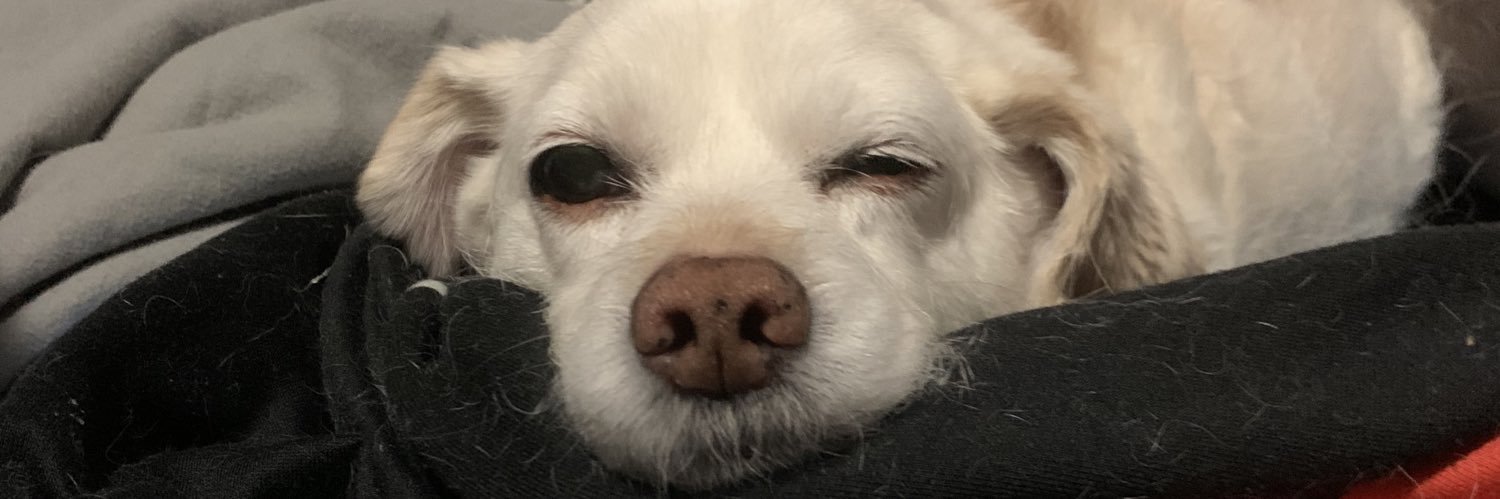kaylasakeeper's profile banner image