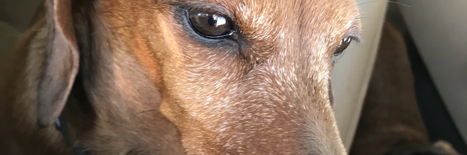 12wbrian13's profile banner image