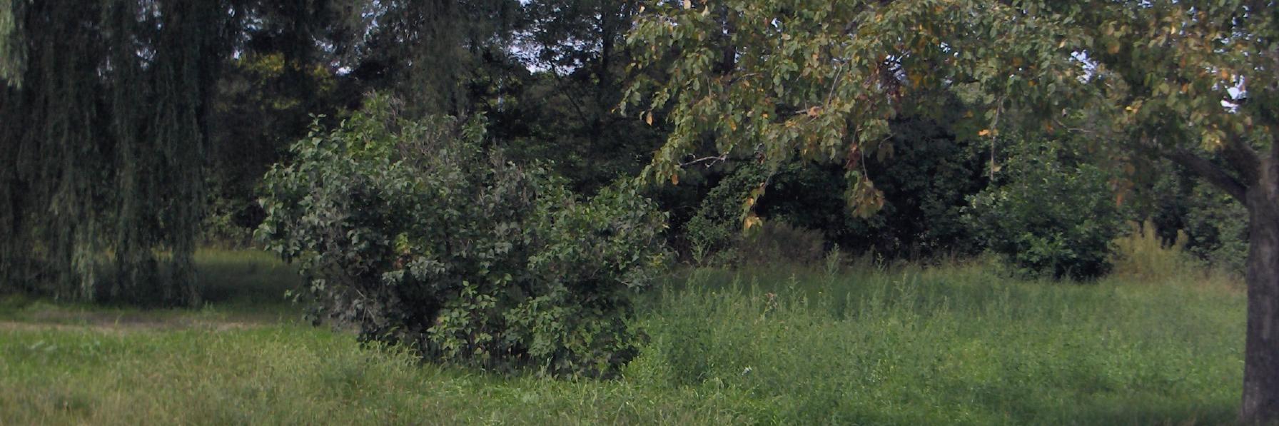 Donald Kennedy banner