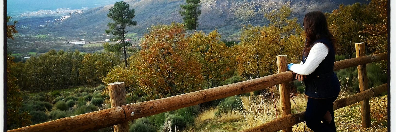 Inma_HF's profile banner image