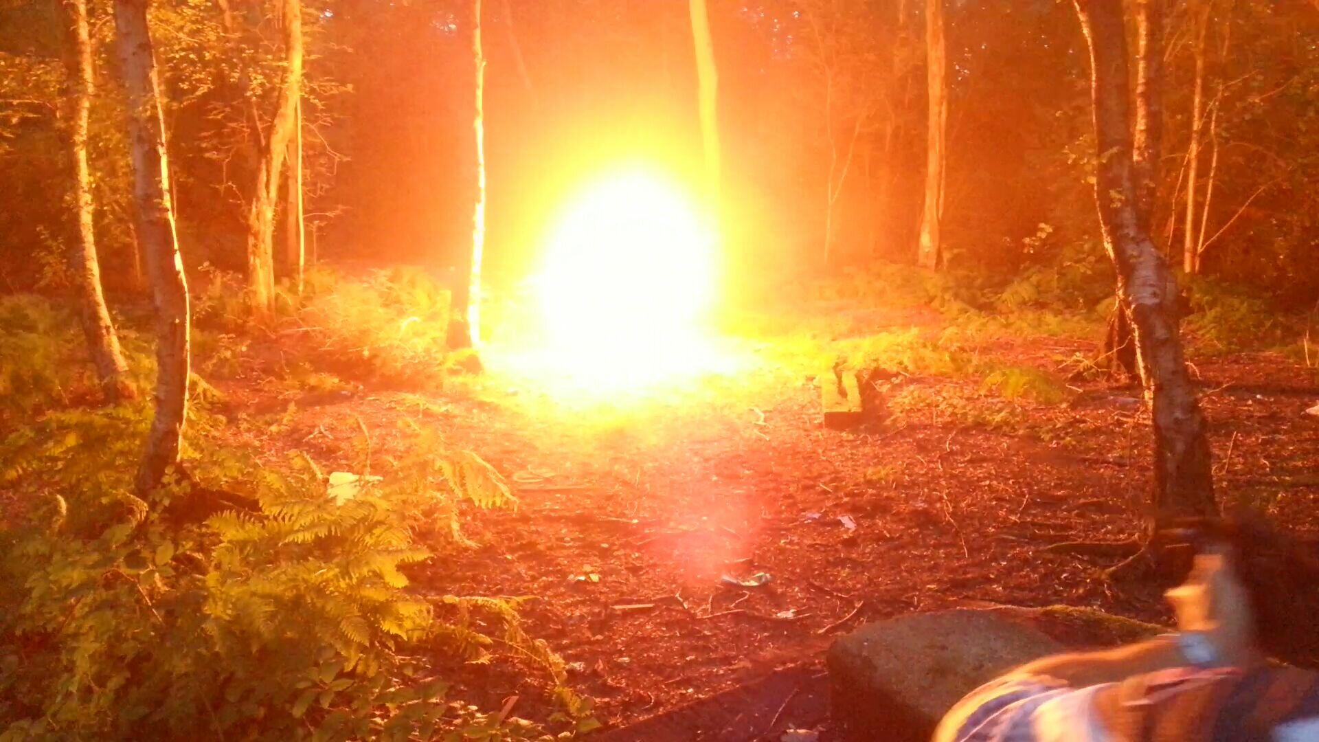 cope_adam's profile banner image