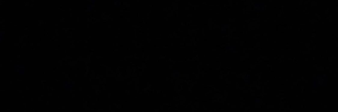 tillyphilpott's profile banner image