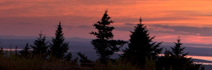 nunik27's profile banner image