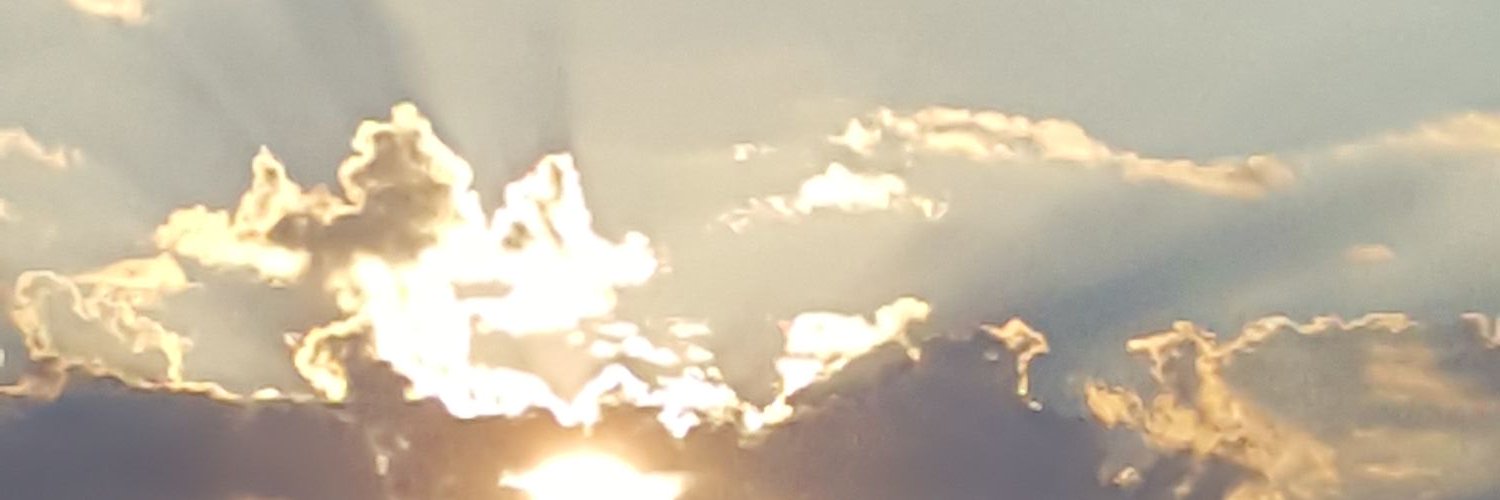 Toriz Hampton banner