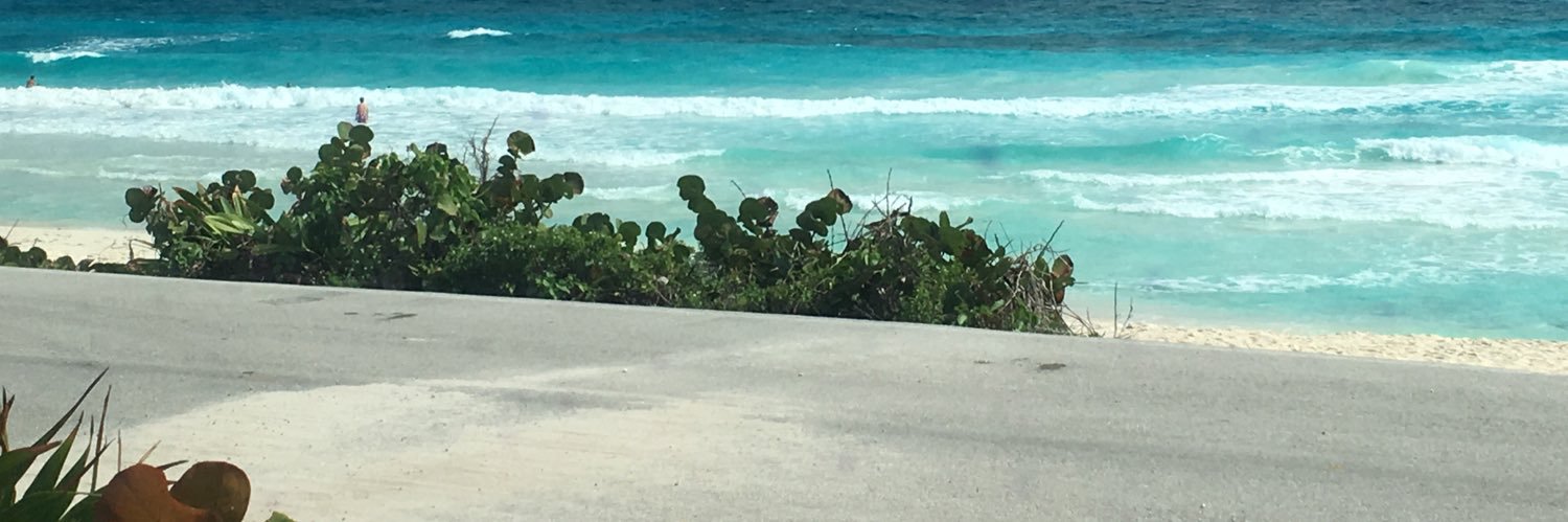 LisaSummerscal2's profile banner image