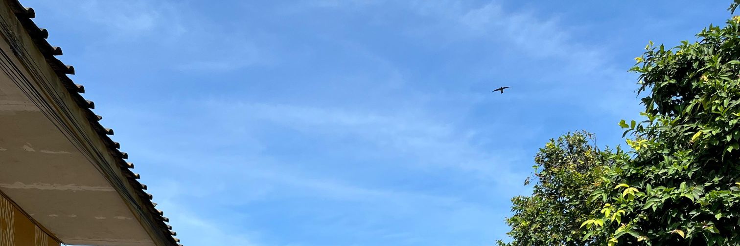 stliyah_'s profile banner image