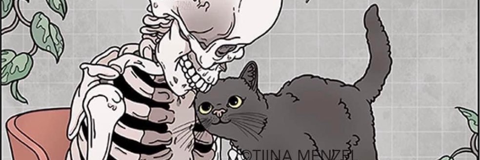 liltash69's profile banner image