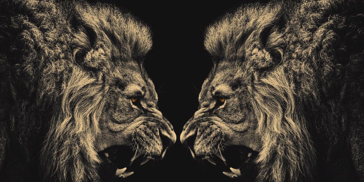 Prashant Vithani banner