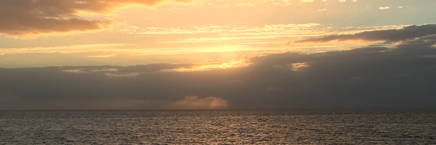 CariMcilduff's profile banner image