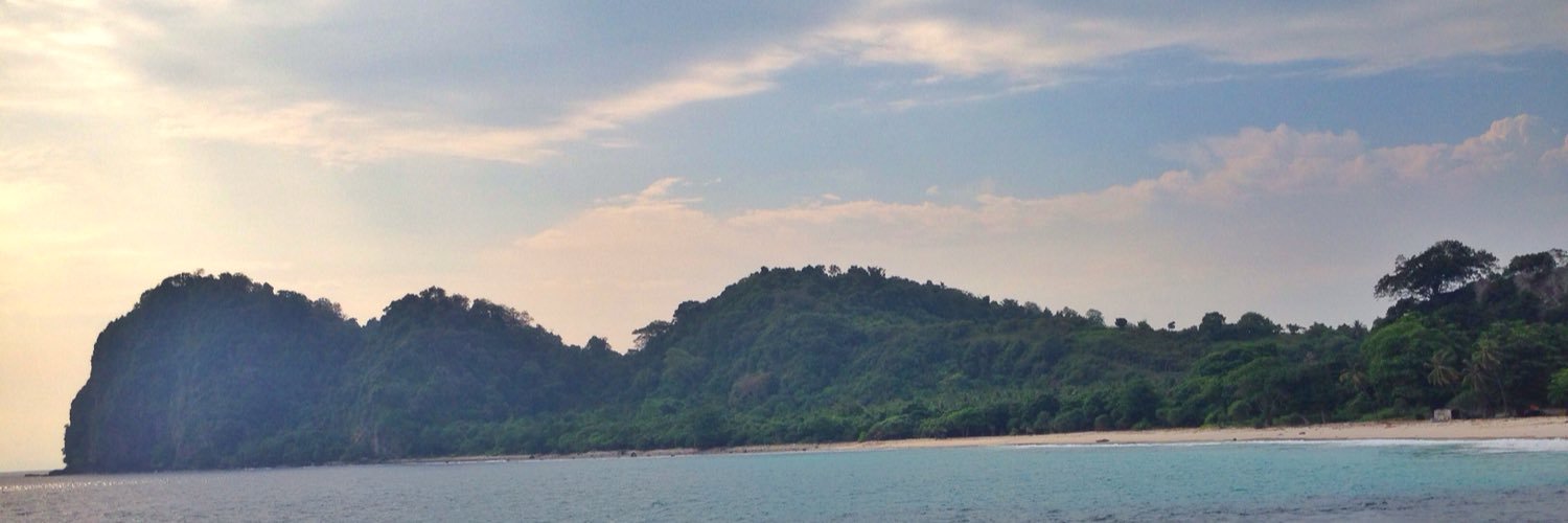 devishintia96's profile banner image