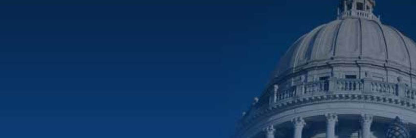 Mississippi Municipal League banner