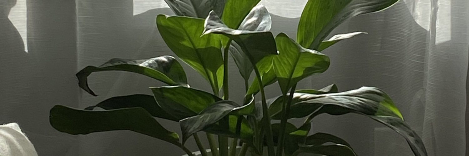 totallyashh's profile banner image