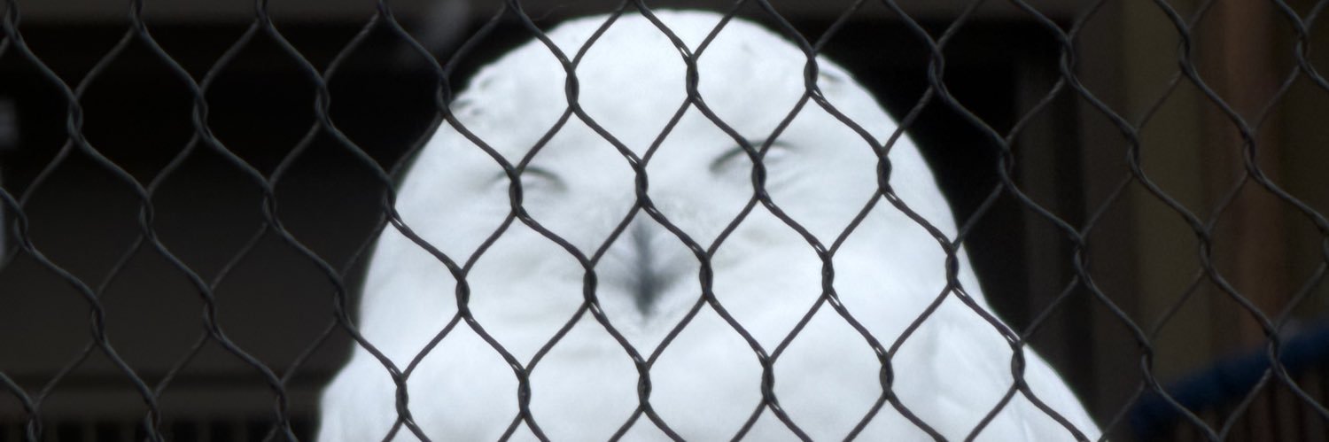 Masaki@ジャギング banner