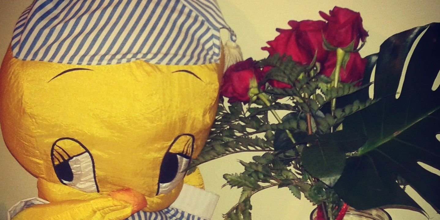 Sofia_Afr's profile banner image