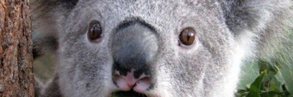 mike1297 Profile Banner