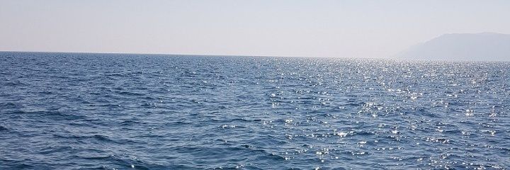 zayooma's profile banner image
