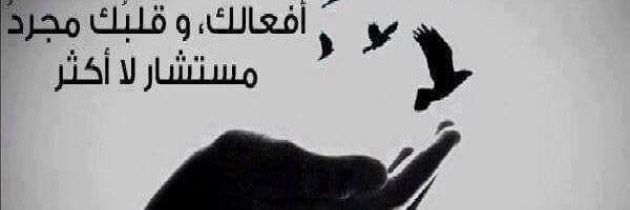 qootalqloob1's profile banner image