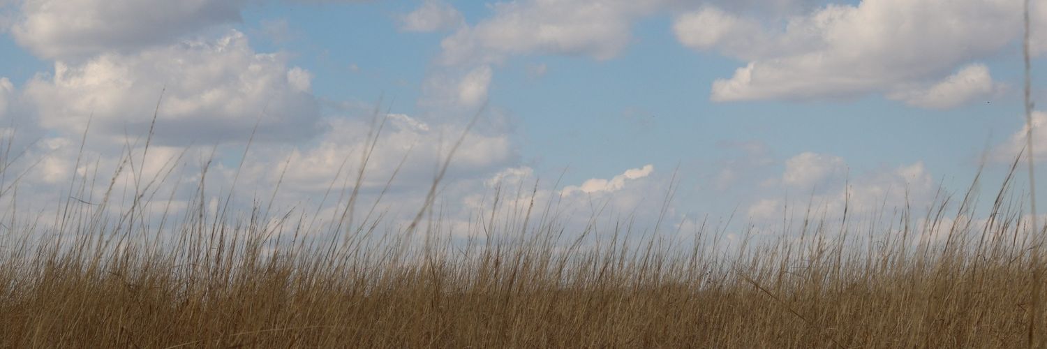 slaughterjas's profile banner image