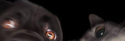 agathanoviaaa's profile banner image