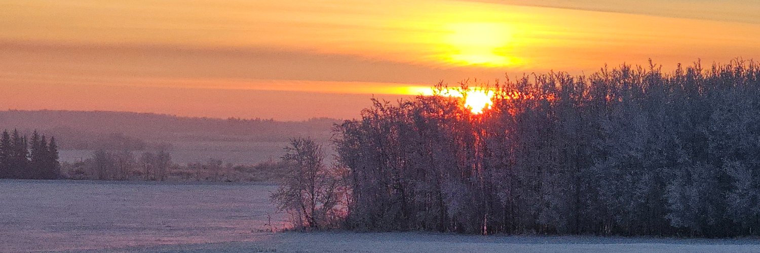 rcpilotalberta's profile banner image