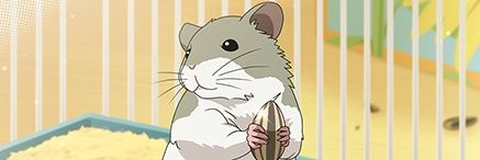 urabisang's profile banner image