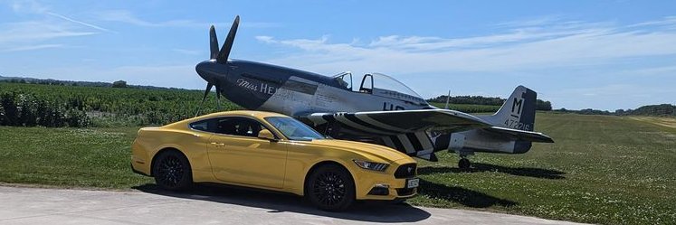 Daniel Markowski banner