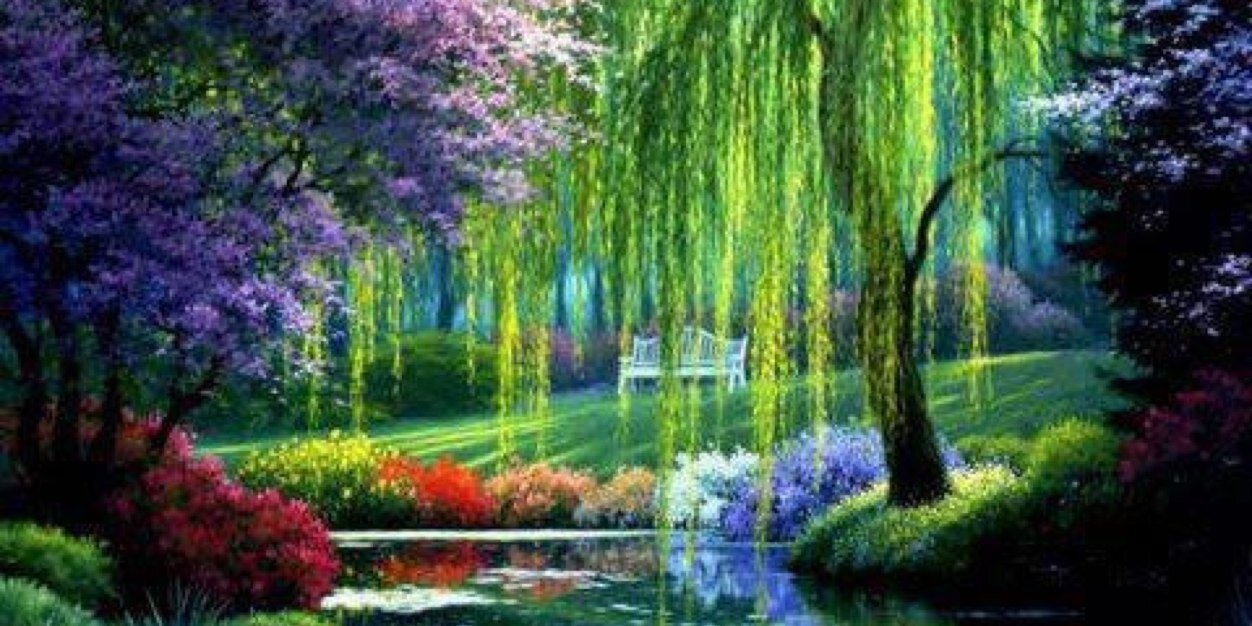 lynn_richards's profile banner image