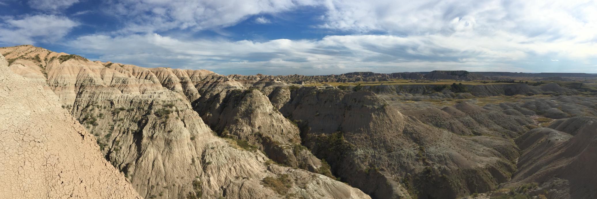 monkeytimes420 banner