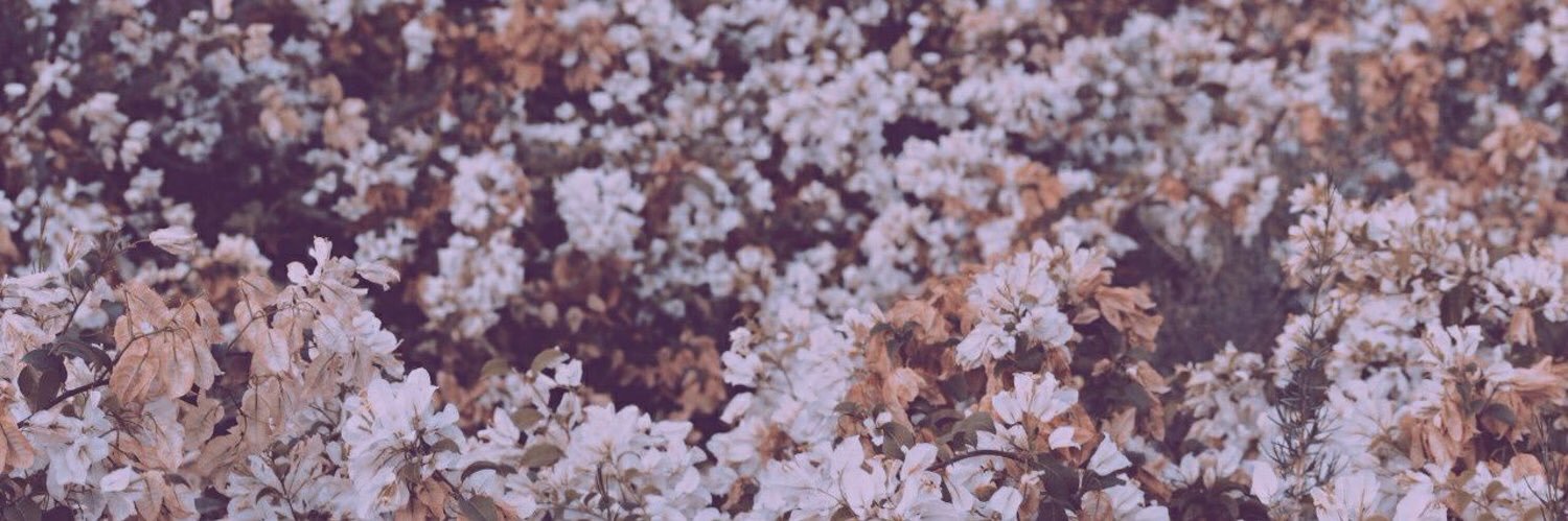 MeryGonzalez95's profile banner image