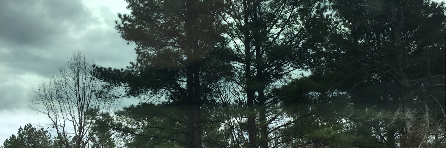 rroddy77's profile banner image