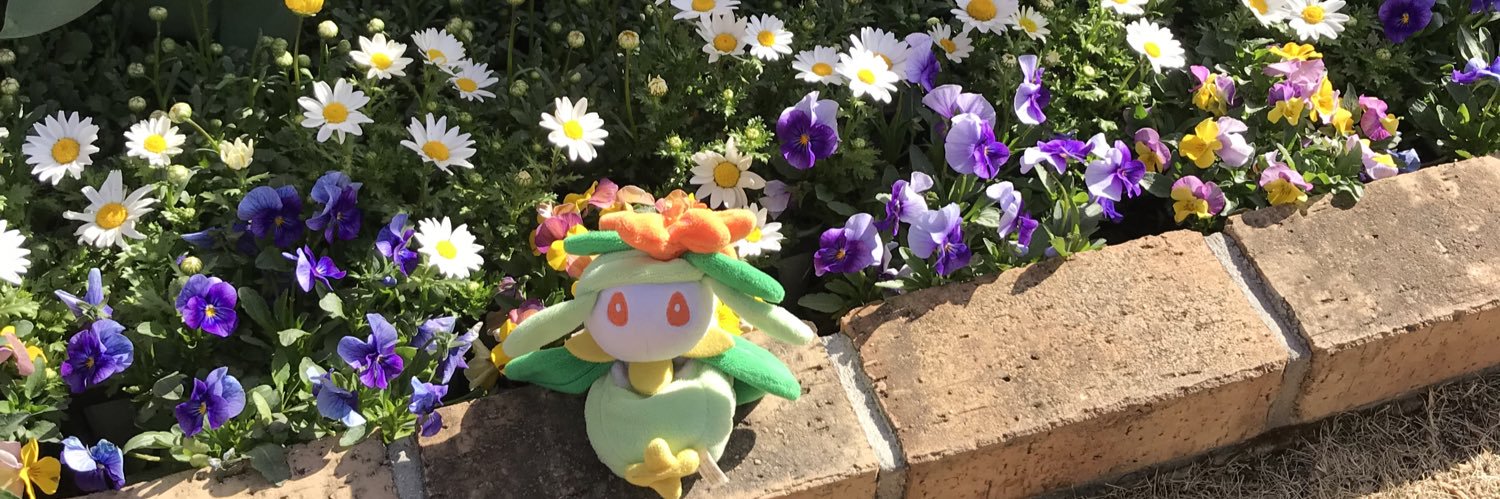 shiocake's profile banner image