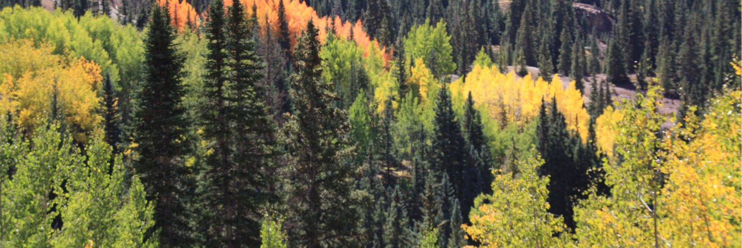 CO_Conervative2's profile banner image