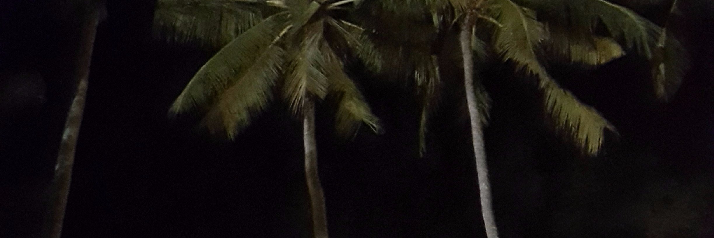 JMLucien's profile banner image
