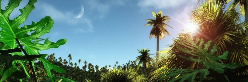 salaKTN's profile banner image