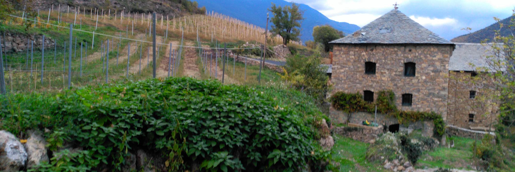 BatlliudeSort's profile banner image