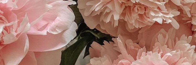 _maha_h_'s profile banner image