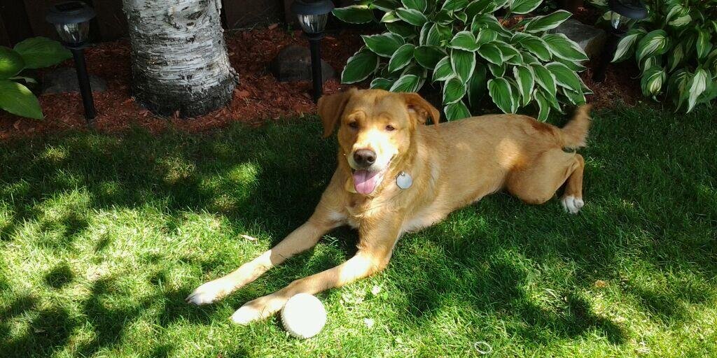 Benoit Beaudry banner