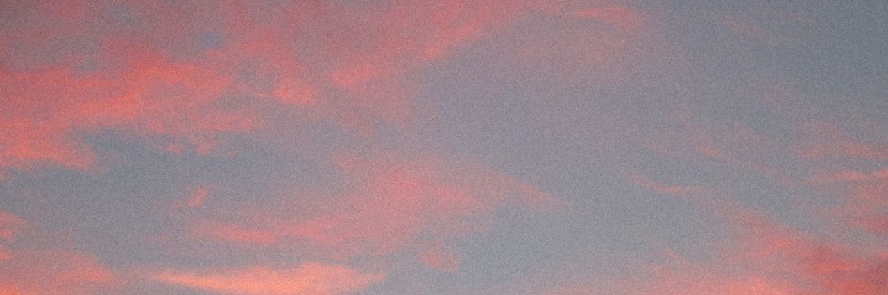 Sweetpea1997__'s profile banner image