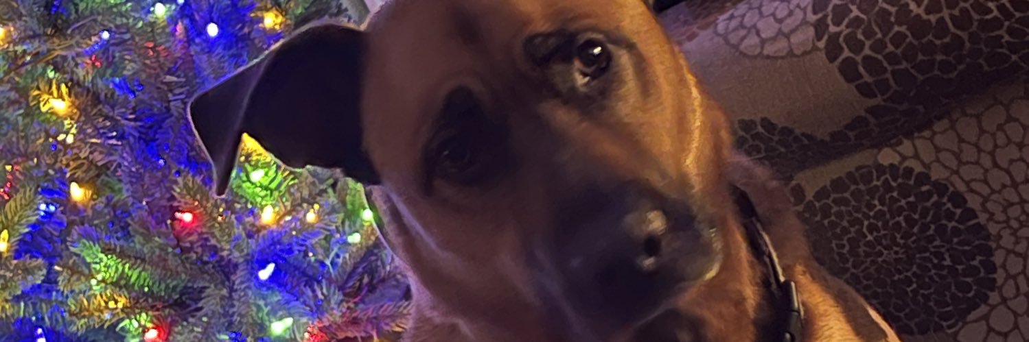 BuschShane's profile banner image