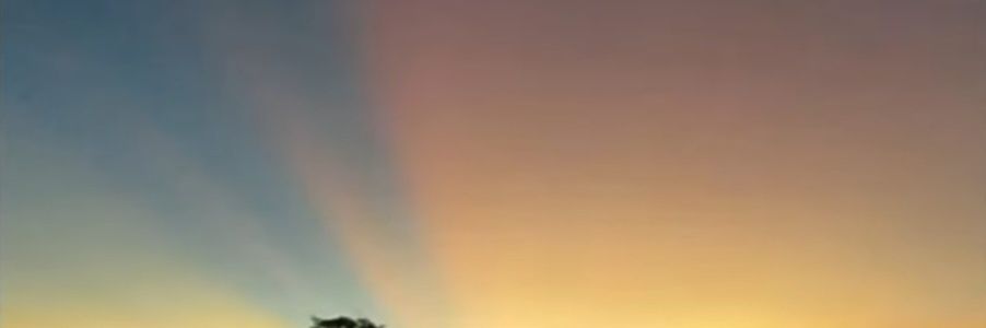 josenidelima's profile banner image