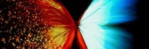 DeadBlondeStars's profile banner image