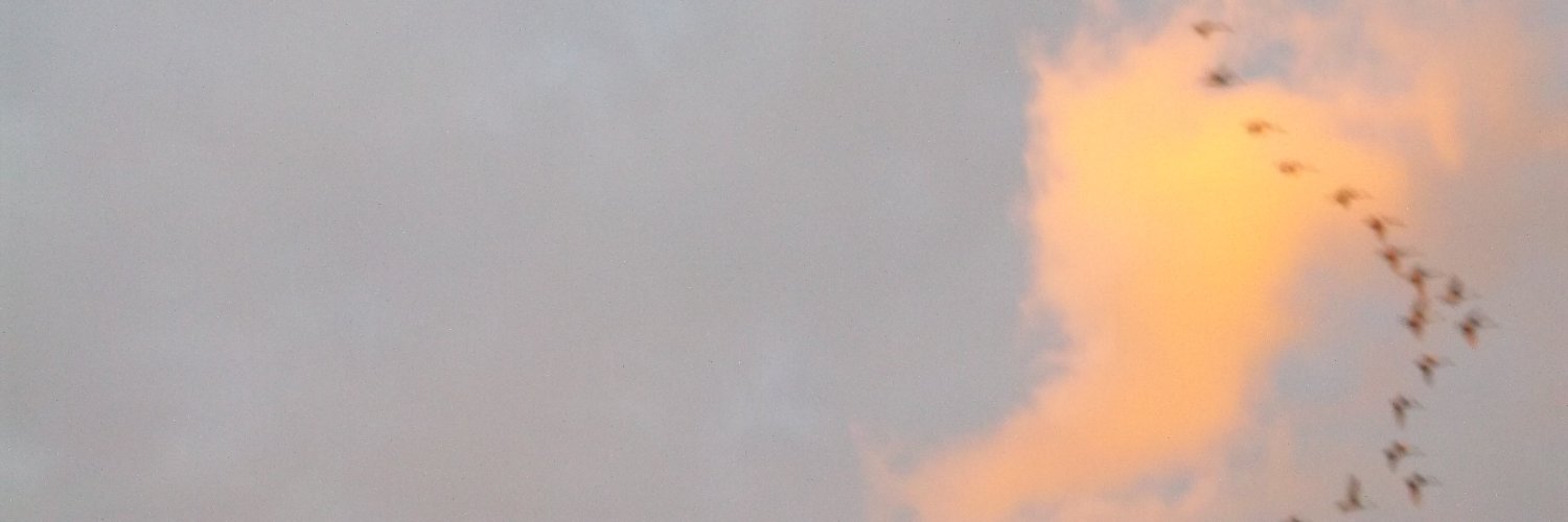 thePhoenixthos's profile banner image