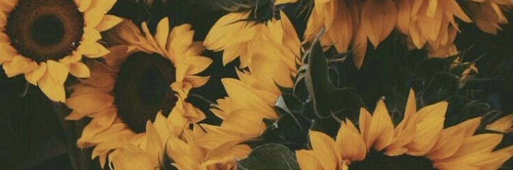 SarahCarlislex's profile banner image