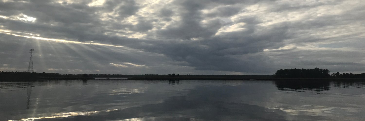 cmwillingham's profile banner image