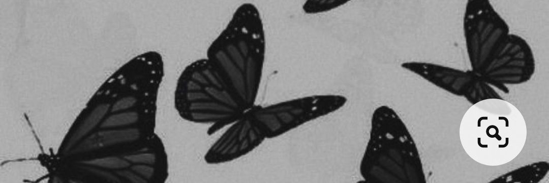 la_merodeadora's profile banner image