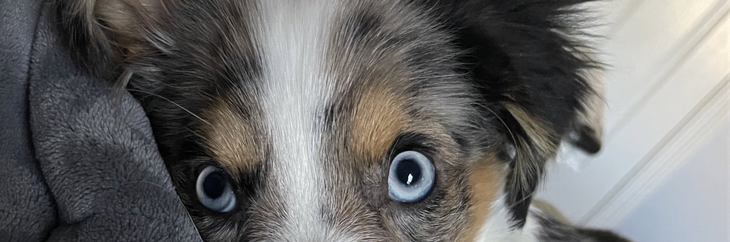 jaacyyyyy's profile banner image