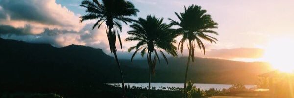 R banner