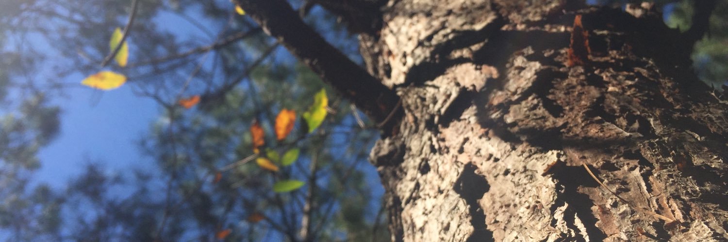officialhales's profile banner image